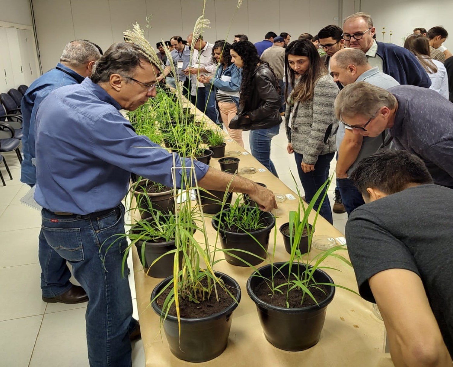 Embrapa promove curso sobre produção de soja