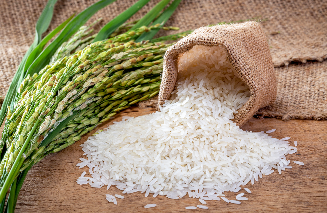 Arroz: Beneficiamento interno reduz; importações crescem