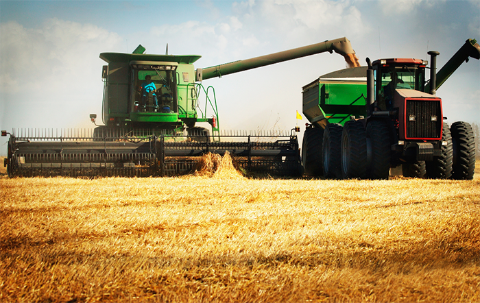 BB lança novo Boletim Agro com análises detalhadas para o setor