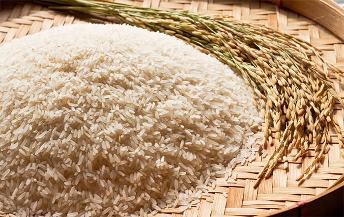 Novos leilões de contrato de opção de venda de arroz são marcados para próximo dia 20