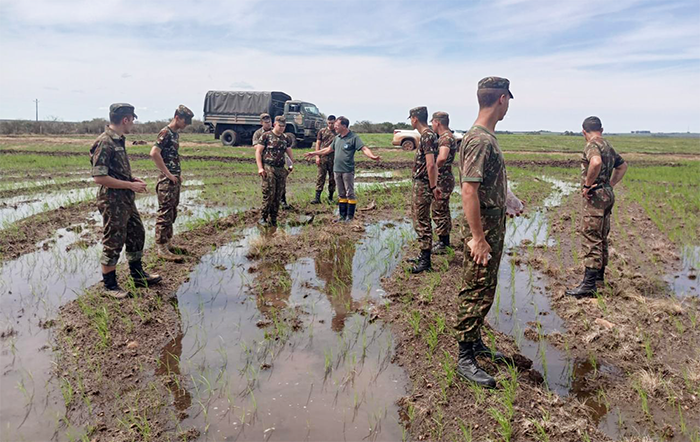 Patriotismo Agroambiental: Projeto Agro Verde Oliva capacita recrutas do exército e fortalece o agro em Alegrete (RS)