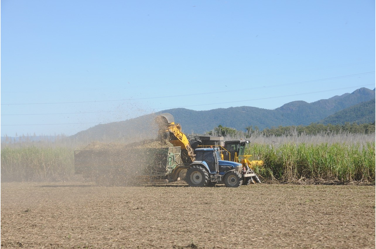 Com alto crescimento, Enersugar registra moagem recorde na safra 2024-2025