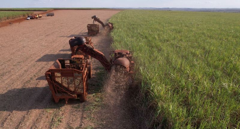 Com quatro anos de crescimento, Enersugar registra moagem recorde na safra 2024-2025