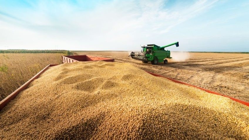 O agronegócio familiar no coração do Mato Grosso. Por Xico Graziano