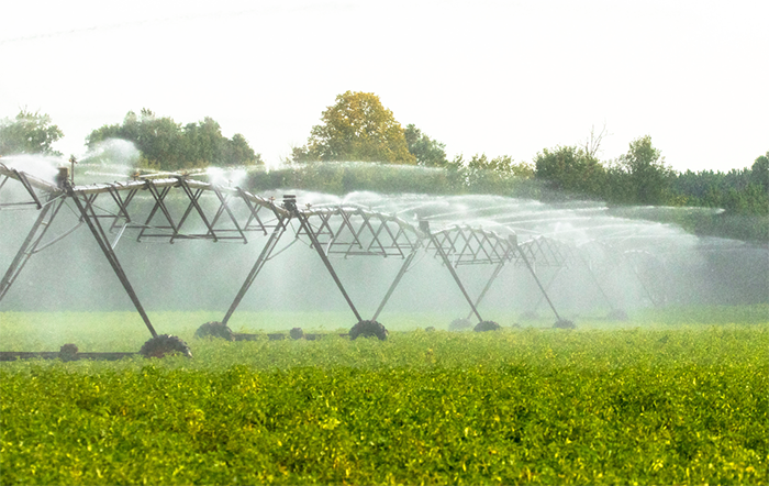 Oeste baiano supera Minas Gerais e se torna o maior polo de irrigação do Brasil