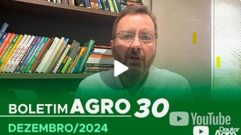 O QUE ESPERAR DO AGRO EM 2025. Por Marcos Fava Neves