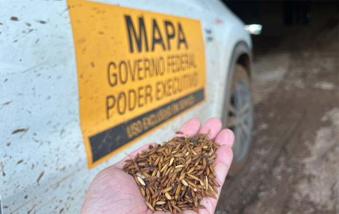 MAPA firma convênio com RS no valor de R$ 21 milhões para fortalecer defesa agropecuária