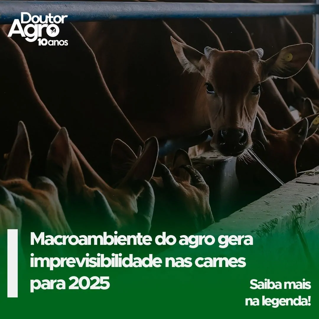 Estimativa do agro brasileiro para 2025. Por Marcos Fava Neves