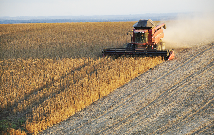 Valor Bruto da Produção (VBP) do agro deve chegar a R$ 1.4 trilhão neste ano