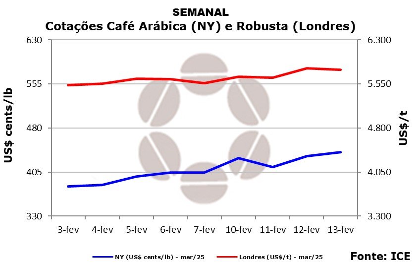 Café: cotações em Nova York devem se consolidar acima de 400 Cents