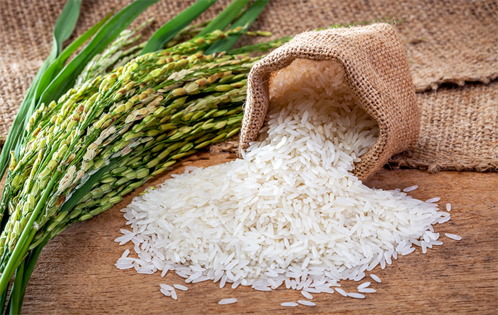 Arroz: Pressionada pelo atacado, matéria-prima tem novas quedas de preços