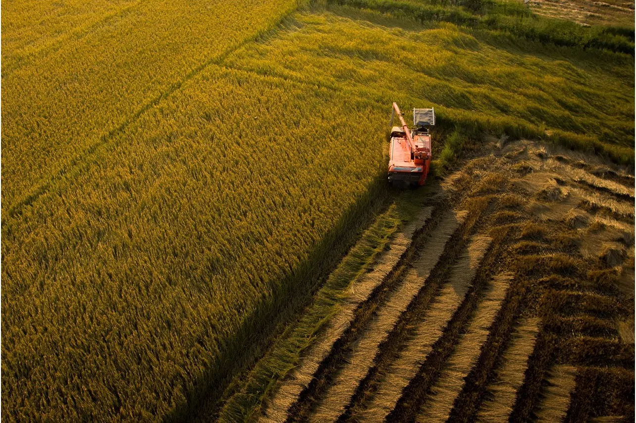 Quem realmente se beneficia dos subsídios agrícolas? Por Xico Graziano