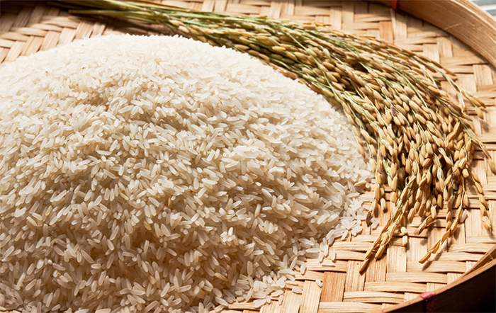 Preço do arroz no RS cai quase 25% nesta parcial de 2025