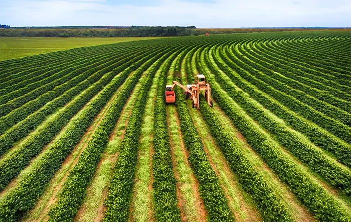 Preço ao produtor agropecuário sobe mais de 20% no 1º trimestre