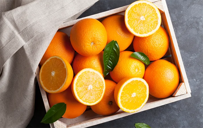 Citrus: Ritmo de negócios da fruta da safra 2025/26 é lento