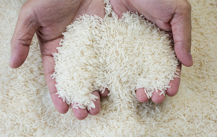 Arroz: Demandas interna e externa limitam quedas dos preços