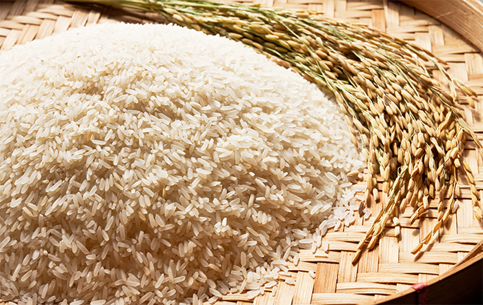 Arroz: Preços são os menores em três anos
