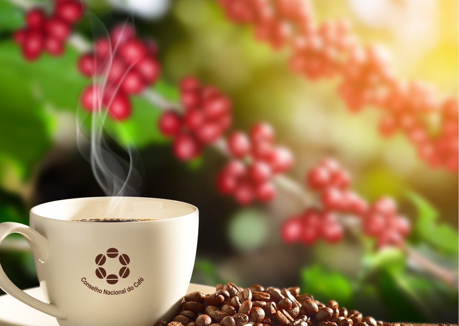Café: números de 2025 confirmam previsões do Conselho Nacional do Café. Por Silas Brasileiro