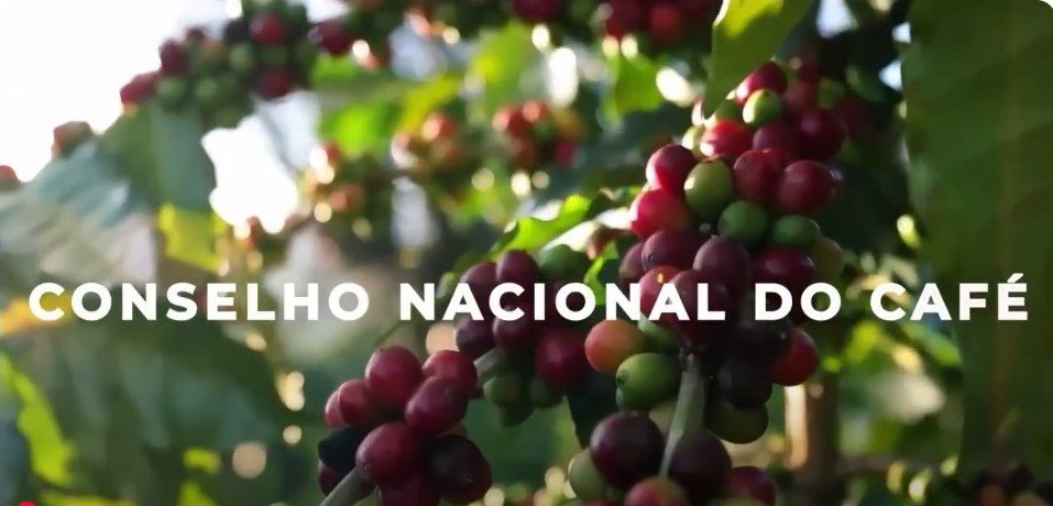 Café Brasileiro e a Lei Antidesmatamento da UE