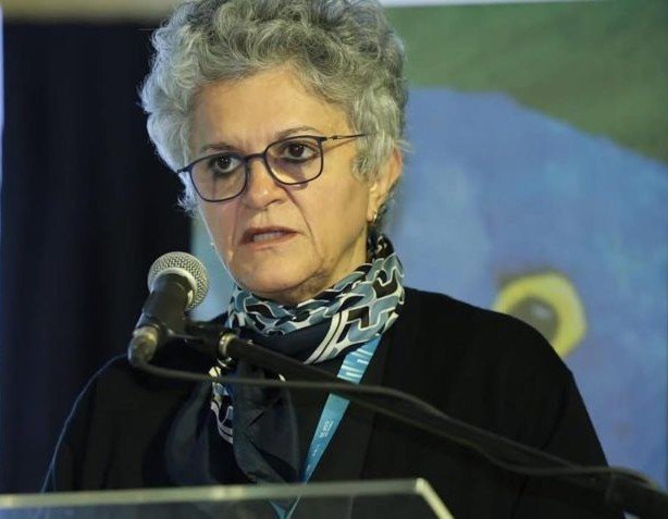 Izabella Teixeira, a voz da lucidez ambiental. Por Xico Graziano