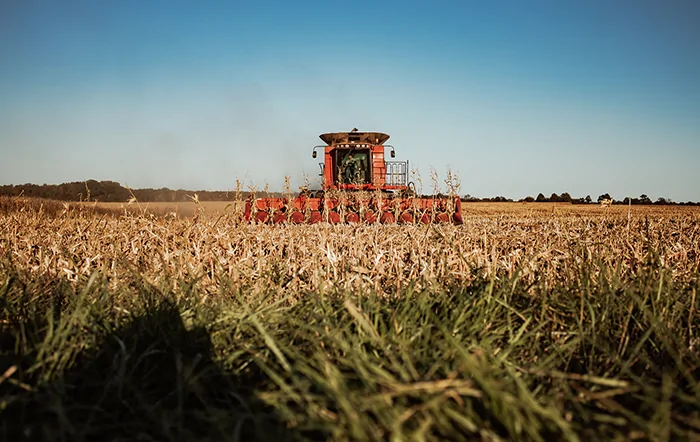 Agronegócio como instrumento de desenvolvimento socioeconômico no Brasil