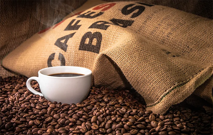 Café: Em seis meses, Indicador do Robusta cai pela metade