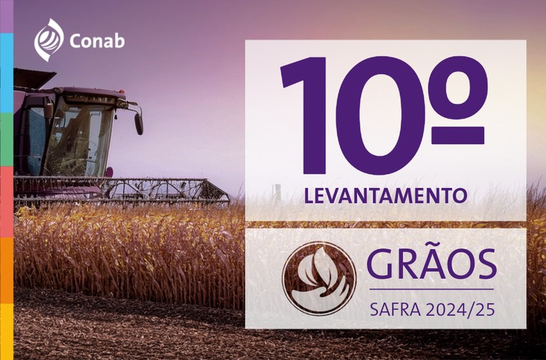 SAFRA DE GRÃOS 2024/25. Estimativa atual representa crescimento de 14,2% em relação à temporada passada