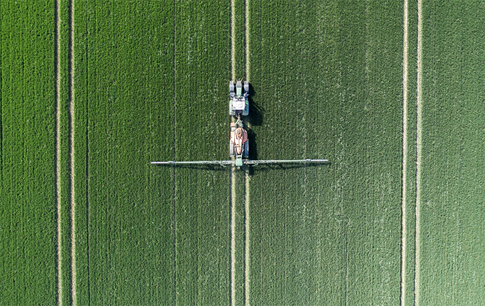 Confira as análises agromensais do CEPEA
