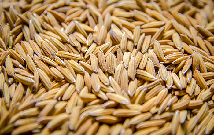 Arroz: Com vendedores retraídos, liquidez segue baixa