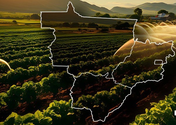 Agronegócio do Centro – Oeste atrai cada vez mais brasileiros de outros estados