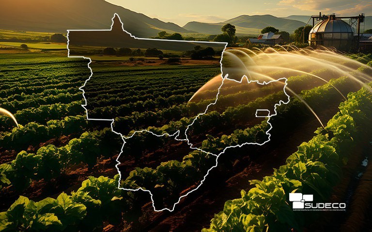 Agronegócio do Centro – Oeste atrai cada vez mais brasileiros de outros estados