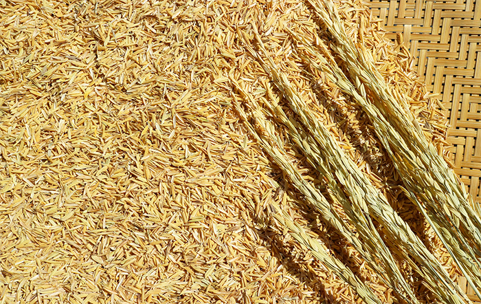Arroz: Preços são os menores desde jan/22
