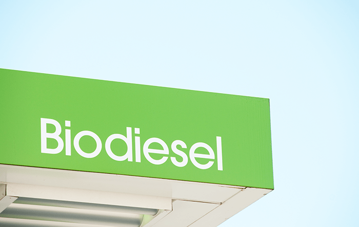 Estudo sobre mercado de trabalho na cadeia da soja e do biodiesel é apresentado em congresso internacional