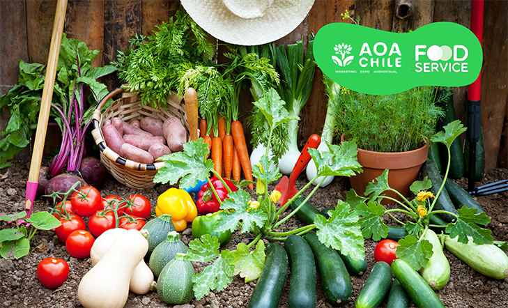 SNA e CI Orgânicos terão grande participação no Food Service AOA Chile 2025