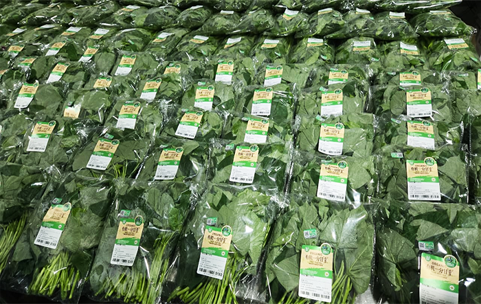 Delegação da SNA e SNASH visita empresa líder em industrialização agrícola orgânica na China