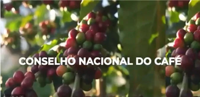 O futuro dos cafés especiais e diferenciados do Cerrado Central