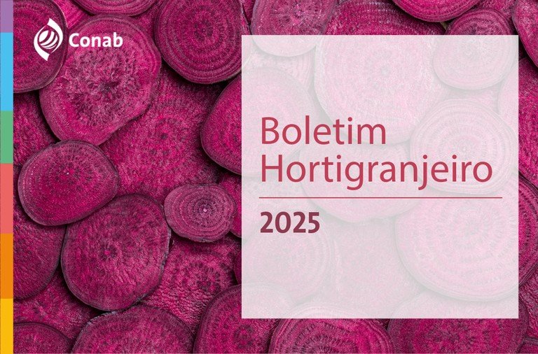 Preços de hortaliças seguem em queda nos principais mercados atacadistas