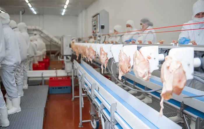 Agroindústria ‘zerou’ as perdas do trimestre no mês de setembro