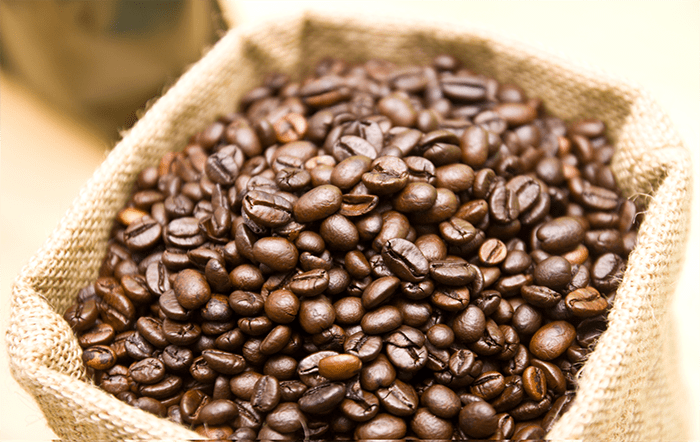 Café: Clima tem favorecido lavouras do Arábica