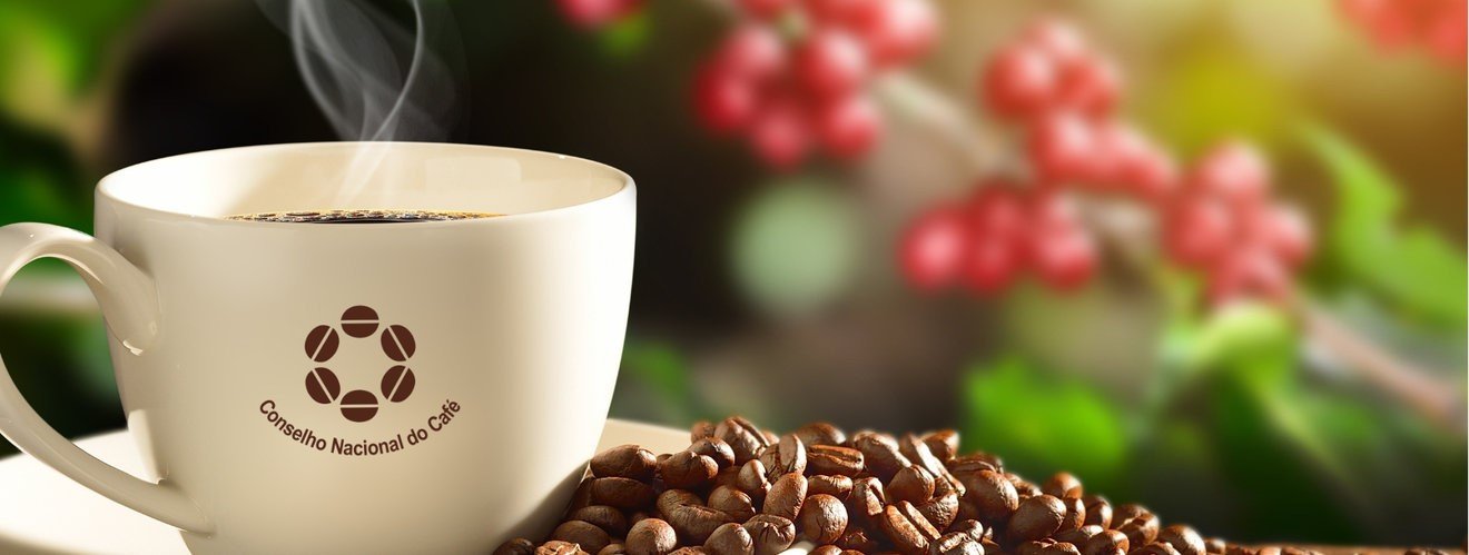 Região do Cerrado Mineiro apresentará iniciativas sustentáveis durante a COP30