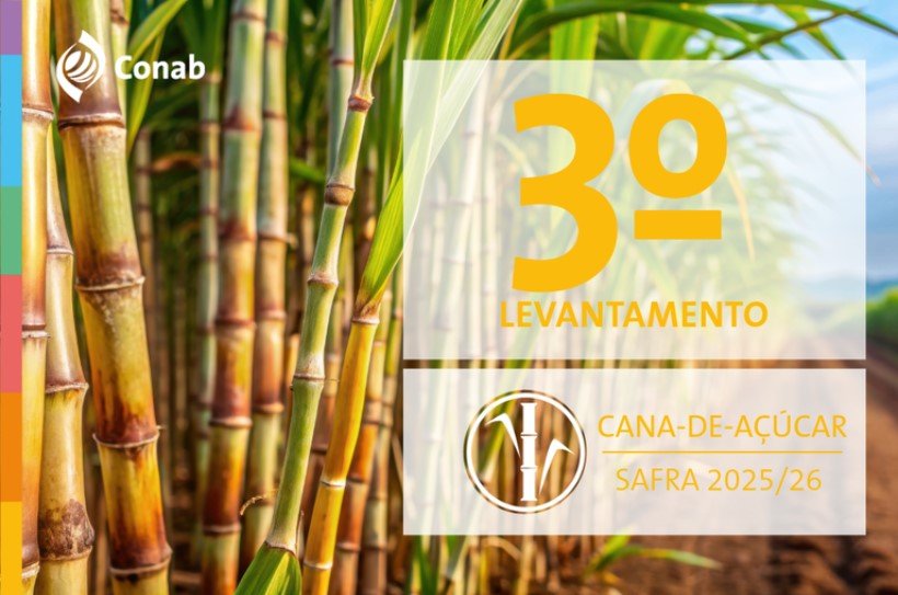 Restrição hídrica impacta produção de cana estimada em 666,4 milhões de toneladas na safra 2025/26