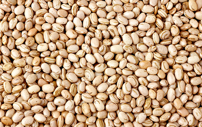 Feijão: Exportações seguem registrando desempenho recorde