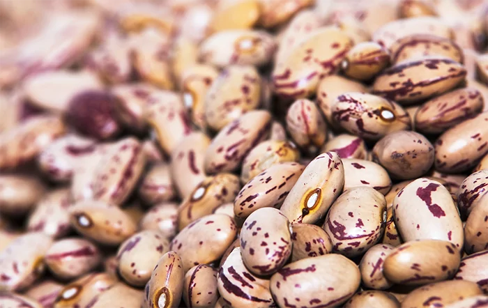 Feijão: Outubro é marcado por baixa liquidez e preço enfraquecido