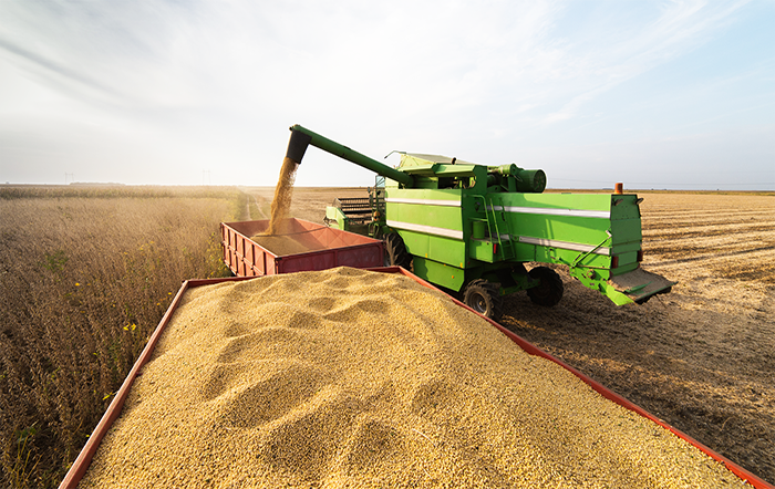 Brasil deve ter safra de 354.8 milhões de toneladas de grãos em 2025/26