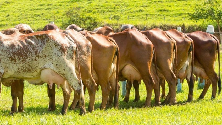 20 perguntas sobre mudanças climáticas. Por Xico Graziano