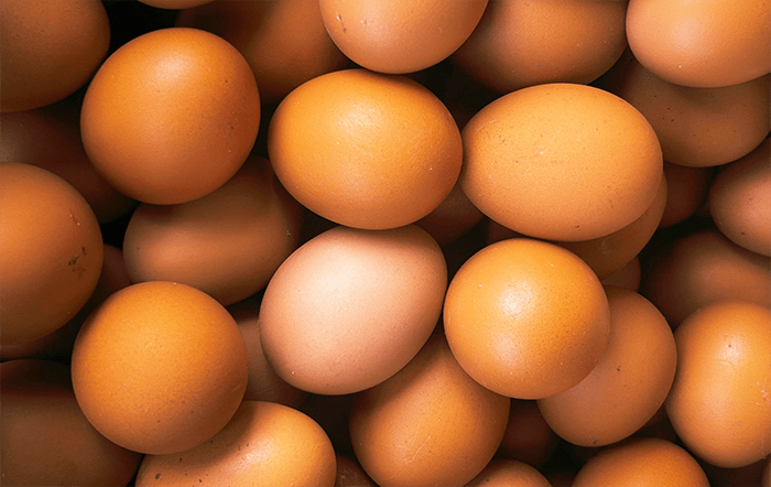 Ovos: Preço interno se enfraquece; embarques reagem
