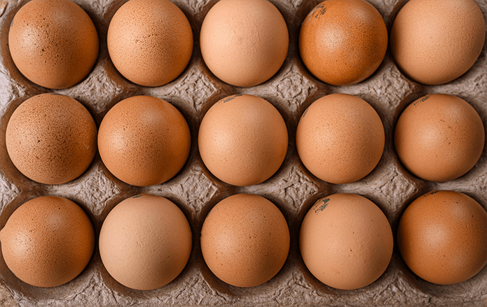 Brasil avança em negociações com a União Europeia e retoma sistema de pre-listing para comercialização de ovos