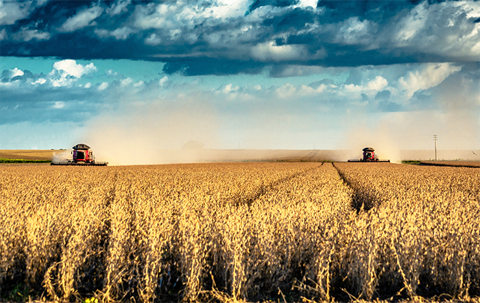 Projeto aprovado no Senado moderniza e fortalece seguro rural