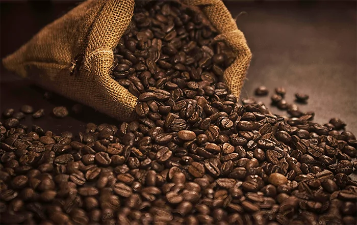 Café: Apesar de menor volume embarcado, exportadores têm ganho em receita