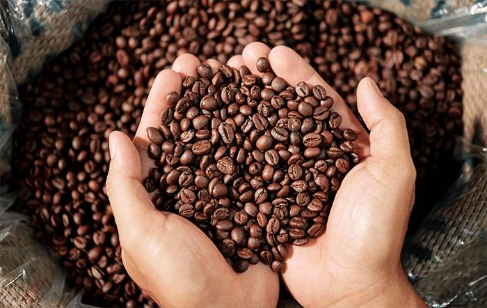 Café: Preços oscilam em novembro, mas dentro de patamar do mês anterior